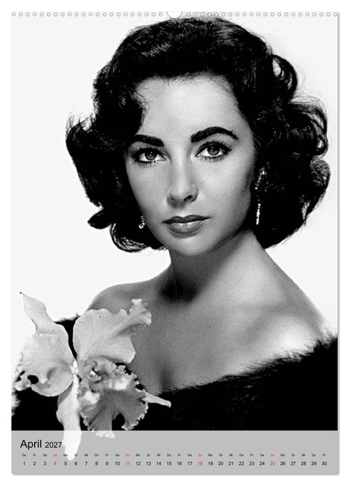 Elizabeth Taylor (CALVENDO Premium Wandkalender 2027)