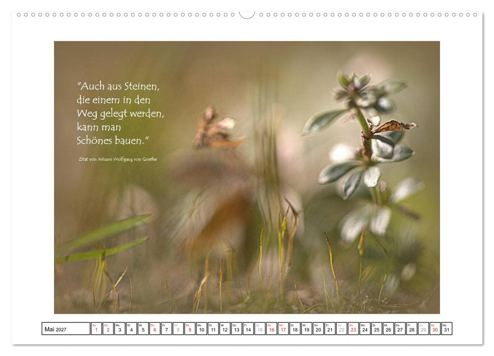Zitate - Sammlung (CALVENDO Wandkalender 2027)