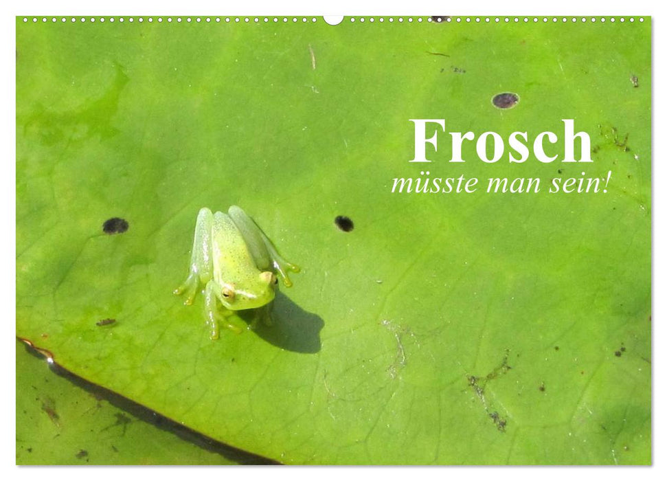 Frosch müsste man sein! (CALVENDO Wandkalender 2027)