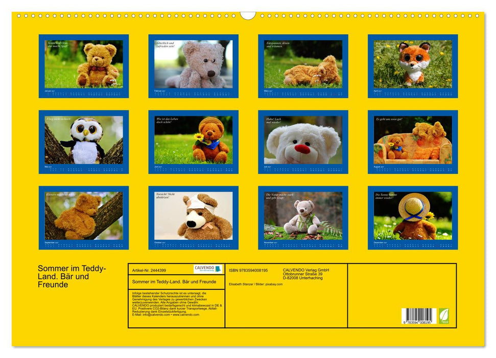 Sommer im Teddy-Land. Bär und Freunde (CALVENDO Wandkalender 2027)