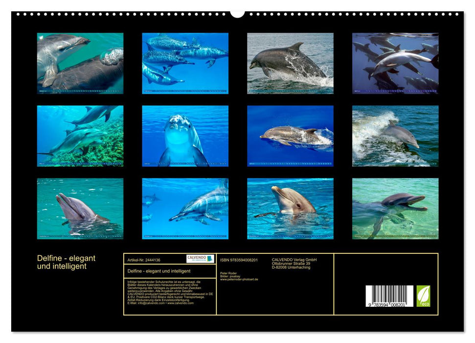 Delfine - elegant und intelligent (CALVENDO Premium Wandkalender 2027)