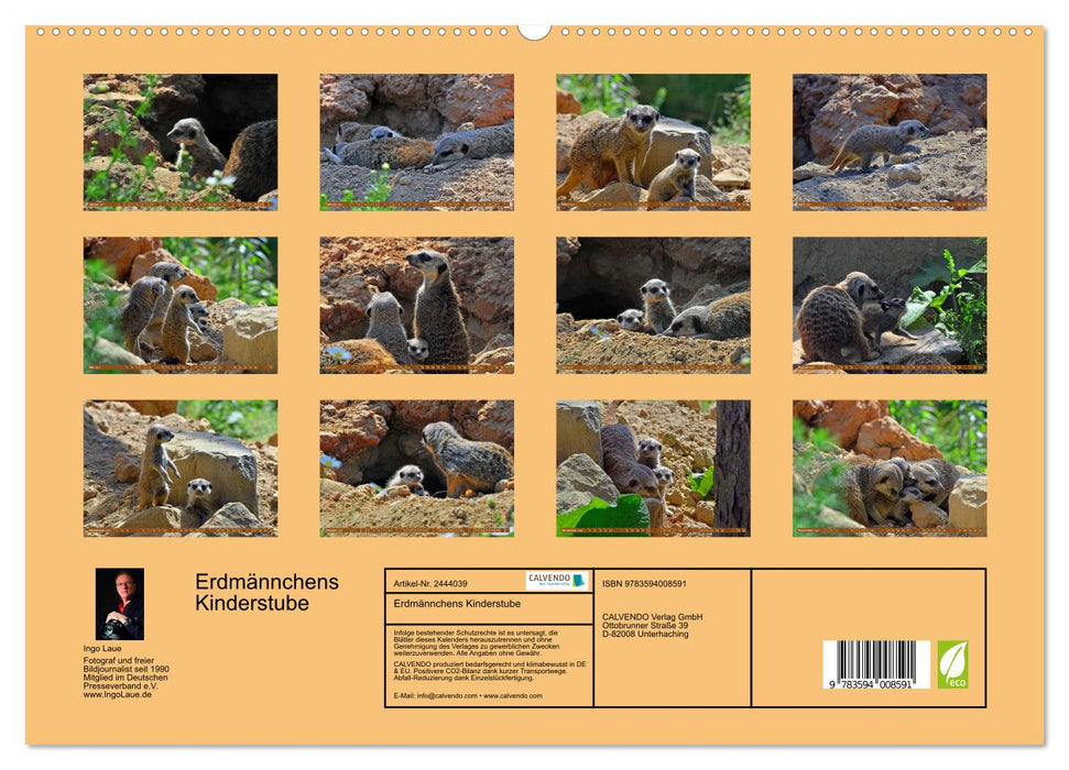 Erdmännchens Kinderstube (CALVENDO Premium Wandkalender 2027)