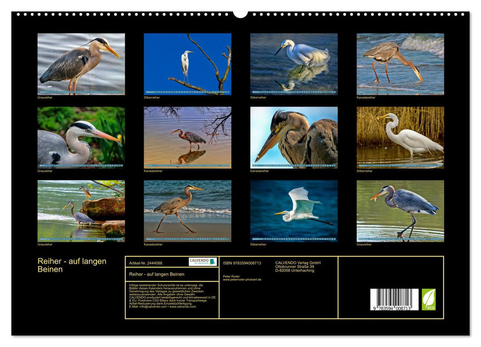 Reiher - auf langen Beinen (CALVENDO Premium Wandkalender 2027)