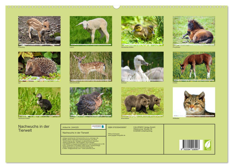 Nachwuchs in der Tierwelt (CALVENDO Premium Wandkalender 2027)