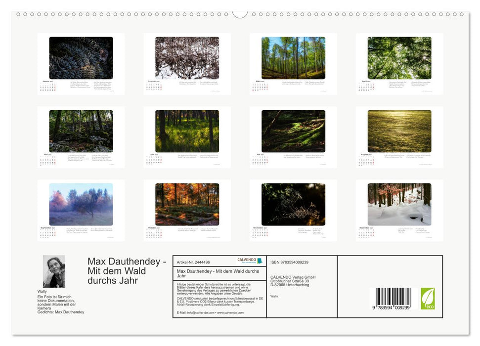 Max Dauthendey - Mit dem Wald durchs Jahr (CALVENDO Premium Wandkalender 2027)