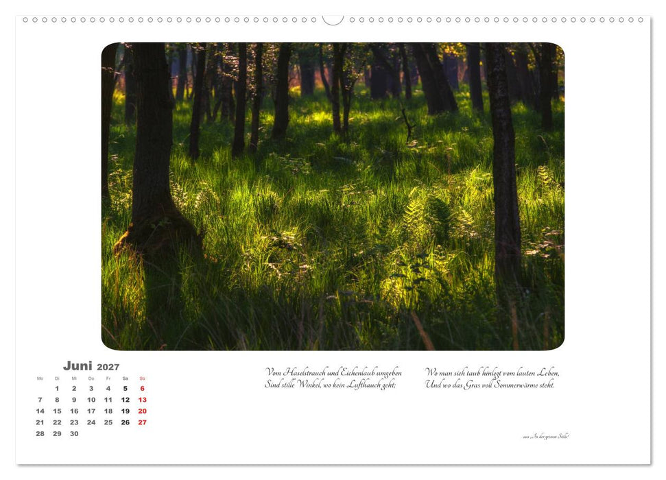 Max Dauthendey - Mit dem Wald durchs Jahr (CALVENDO Premium Wandkalender 2027)