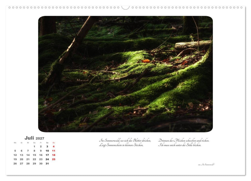 Max Dauthendey - Mit dem Wald durchs Jahr (CALVENDO Premium Wandkalender 2027)