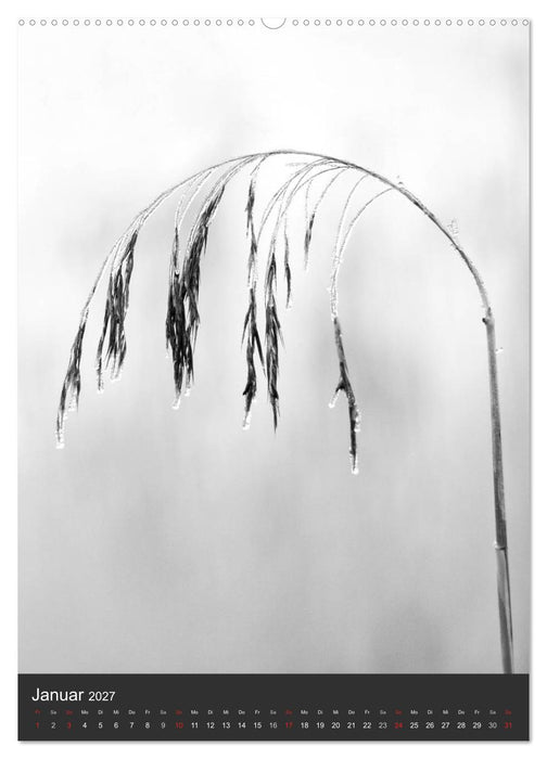 Natur in Schwarz und Weiß (CALVENDO Premium Wandkalender 2027)