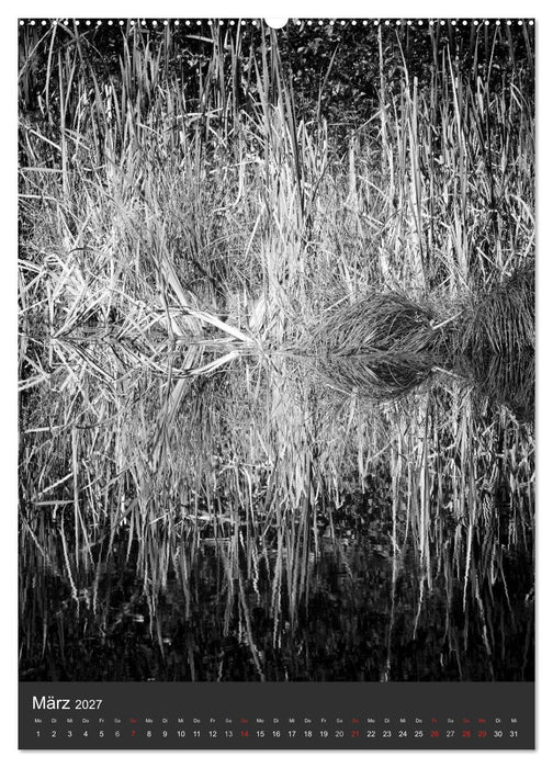 Natur in Schwarz und Weiß (CALVENDO Premium Wandkalender 2027)
