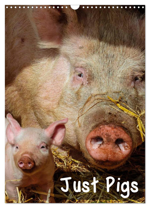 Just Pigs (CALVENDO Monthly Calendar 2027)