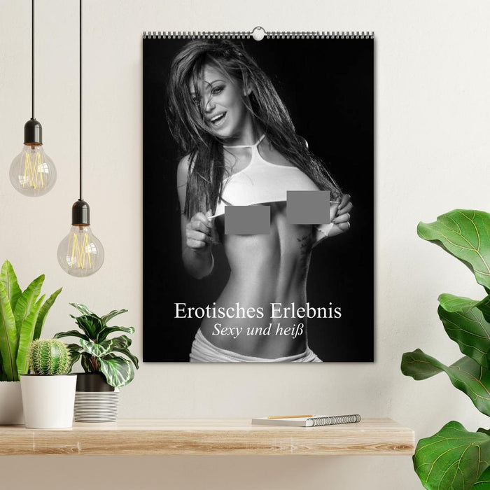 Erotisches Erlebnis. Sexy und heiß (CALVENDO Wandkalender 2027)