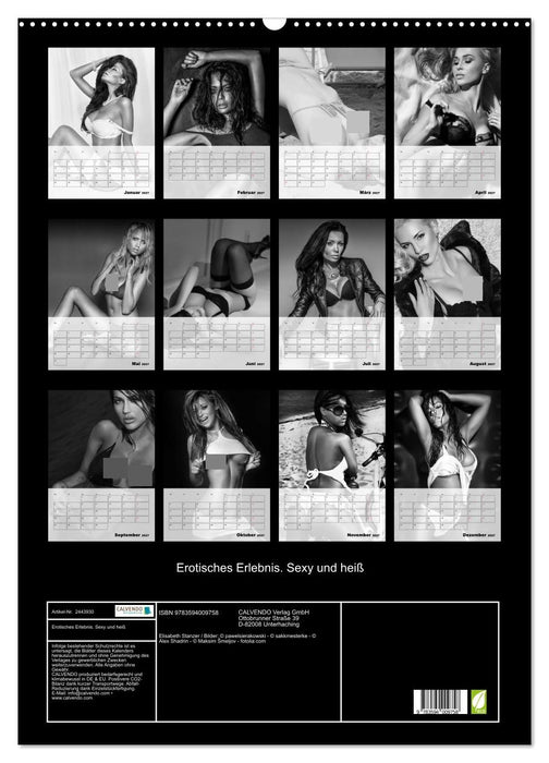 Erotisches Erlebnis. Sexy und heiß (CALVENDO Wandkalender 2027)