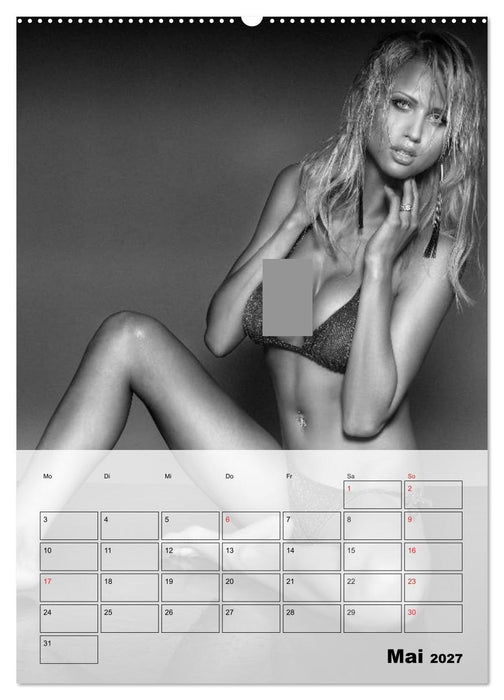 Erotisches Erlebnis. Sexy und heiß (CALVENDO Wandkalender 2027)