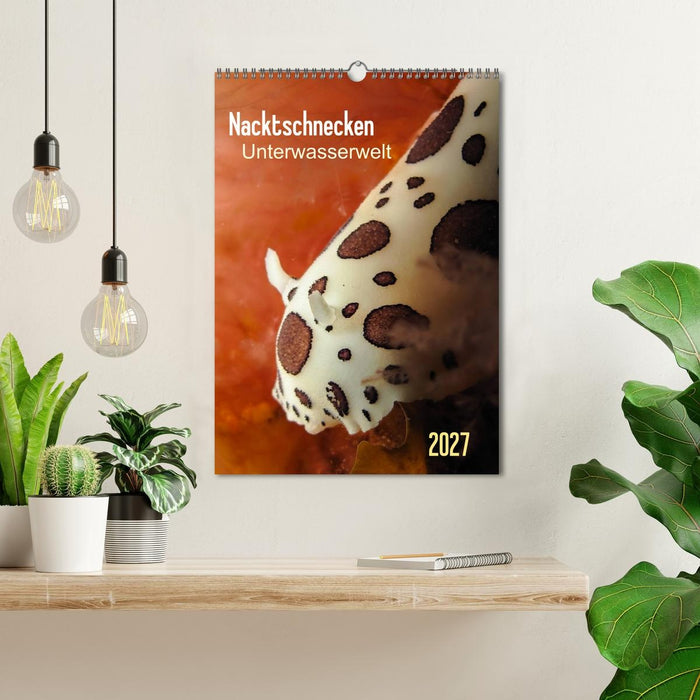 Nacktschnecken - Unterwasserwelt 2027 (CALVENDO Wandkalender 2027)