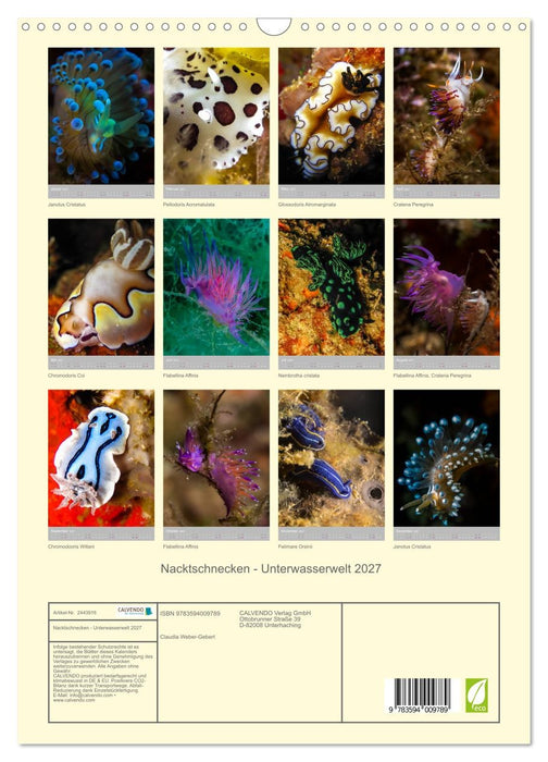 Nacktschnecken - Unterwasserwelt 2027 (CALVENDO Wandkalender 2027)