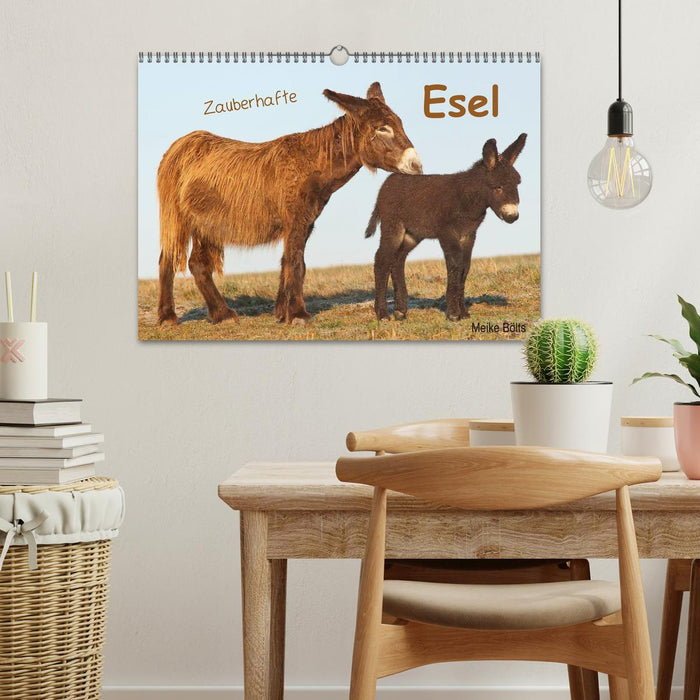 Zauberhafte Esel (CALVENDO Wandkalender 2027)