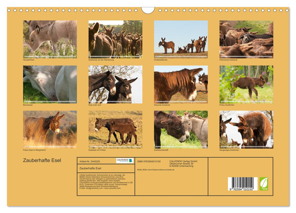 Zauberhafte Esel (CALVENDO Wandkalender 2027)