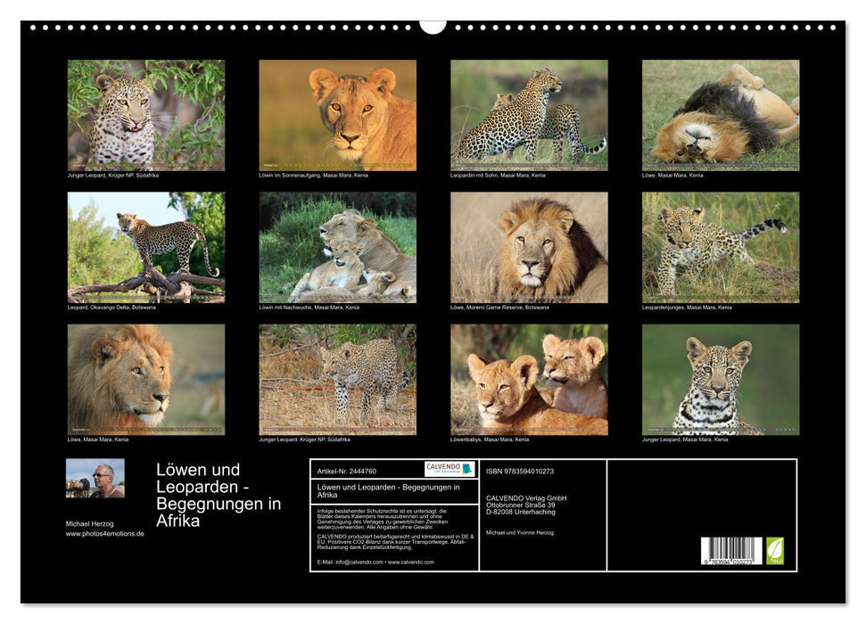Löwen und Leoparden - Begegnungen in Afrika (CALVENDO Wandkalender 2027)
