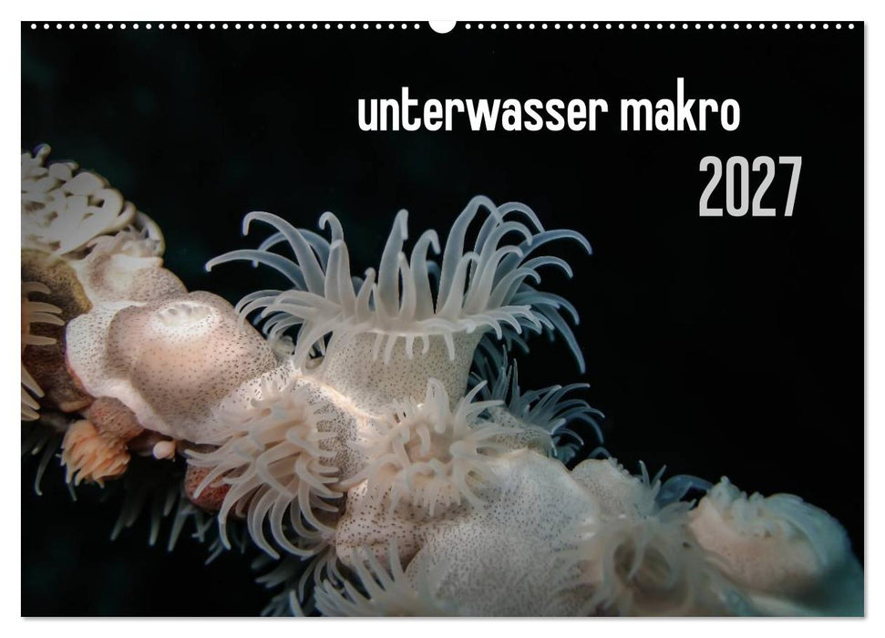 unterwasser makro 2027 (CALVENDO Wandkalender 2027)