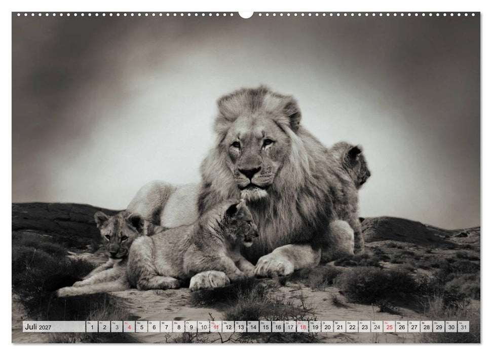 Wilde Tiere in schwarz-weiß (CALVENDO Premium Wandkalender 2027)