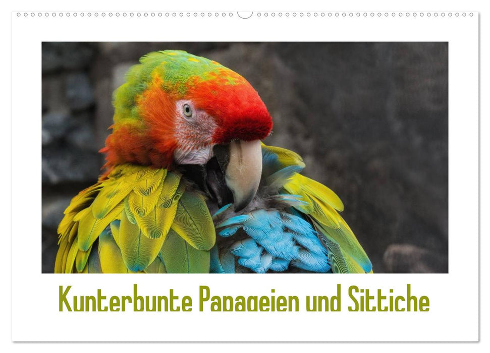 Kunterbunte Papageien und Sittiche (CALVENDO Wandkalender 2027)