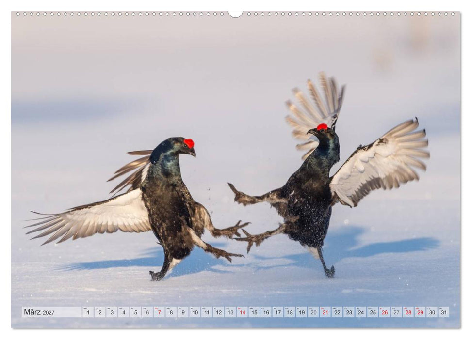Emotionale Momente: Wild und Jagd. (CALVENDO Wandkalender 2027)