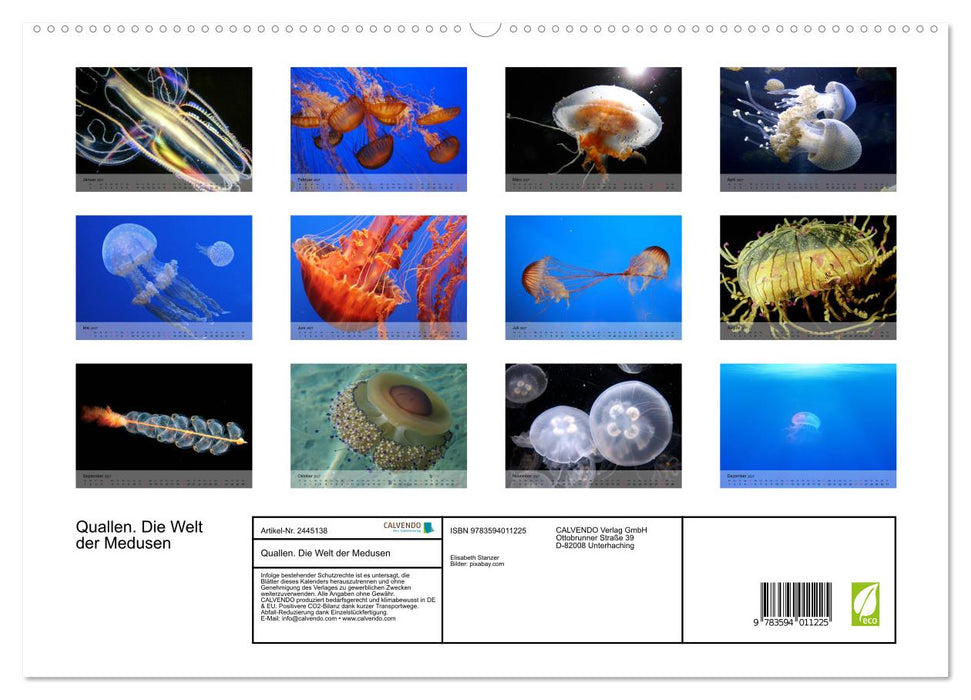 Quallen. Die Welt der Medusen (CALVENDO Premium Wandkalender 2027)