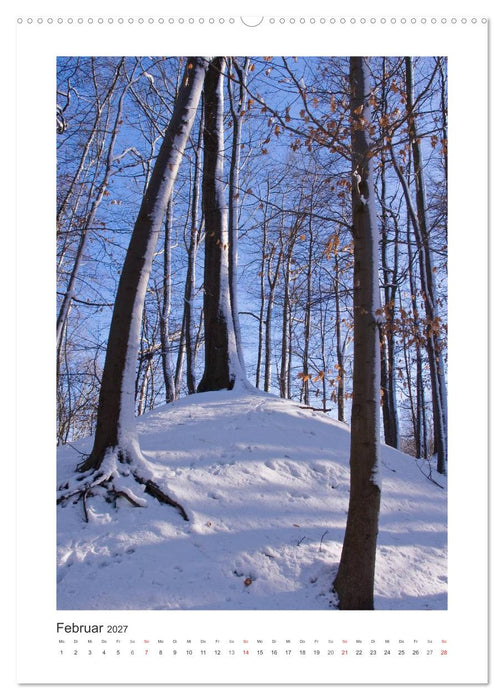 Impressionen aus unserem Wald (CALVENDO Premium Wandkalender 2027)