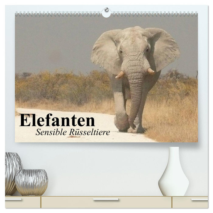 Elefanten. Sensible Rüsseltiere (CALVENDO Premium Wandkalender 2027)