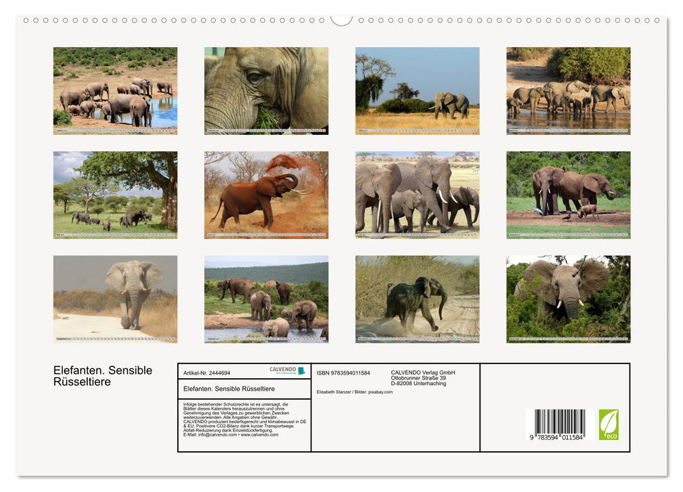 Elefanten. Sensible Rüsseltiere (CALVENDO Premium Wandkalender 2027)