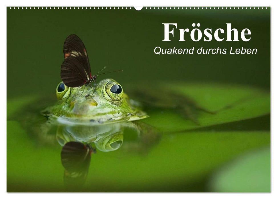 Frösche. Quakend durchs Leben (CALVENDO Wandkalender 2027)