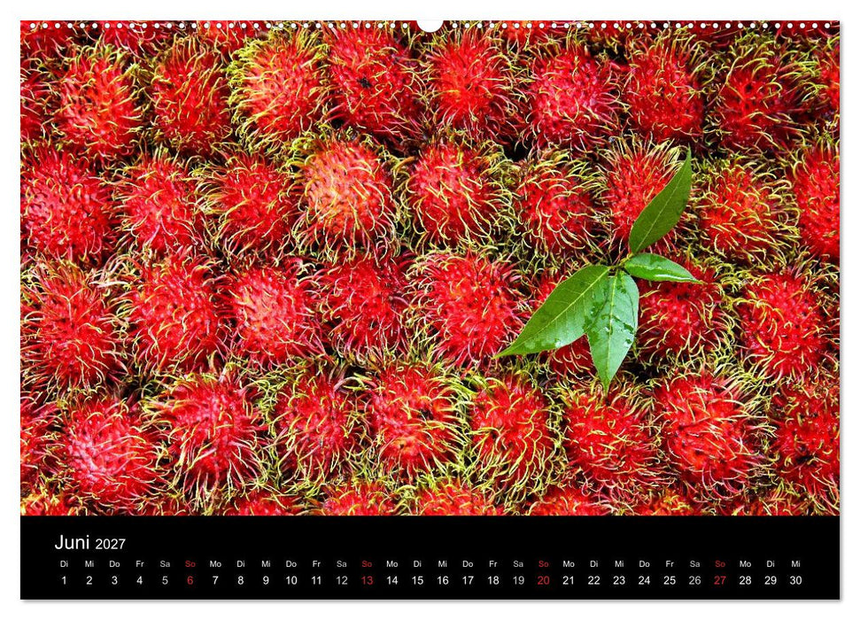 Tropenparadies Thailand 2027 (CALVENDO Wandkalender 2027)