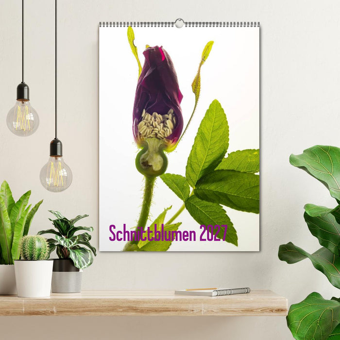 Schnittblumen 2027 (CALVENDO Wandkalender 2027)