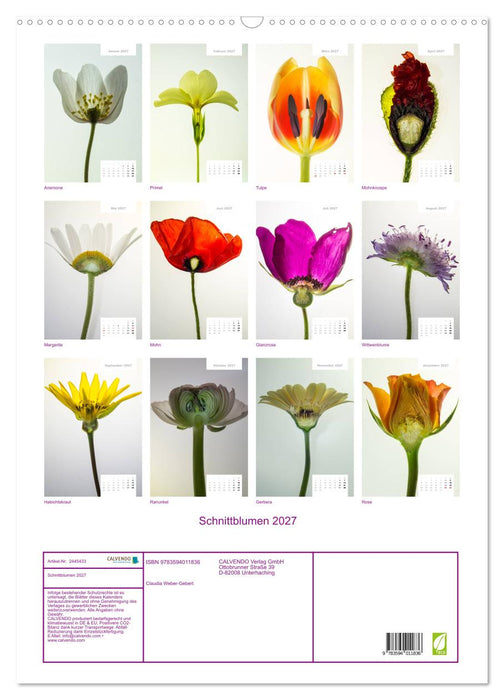 Schnittblumen 2027 (CALVENDO Wandkalender 2027)