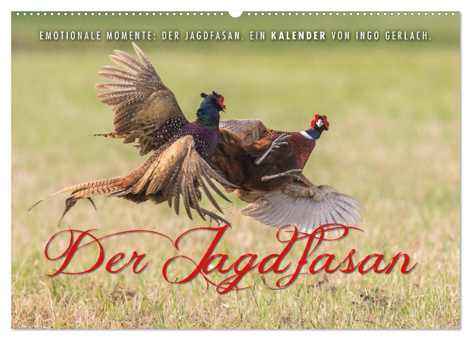 Emotionale Momente: Der Jagdfasan. (CALVENDO Wandkalender 2027)