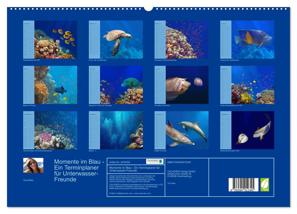 Momente im Blau - Ein Terminplaner für Unterwasser-Freunde (CALVENDO Premium Wandkalender 2027)