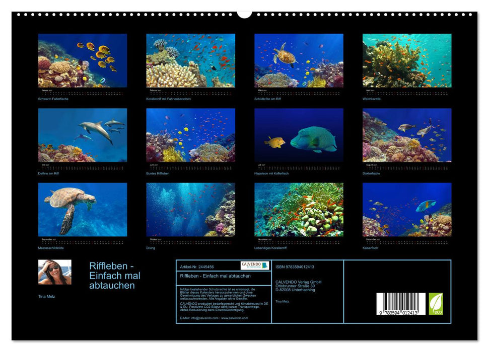 Riffleben - Einfach mal abtauchen (CALVENDO Premium Wandkalender 2027)