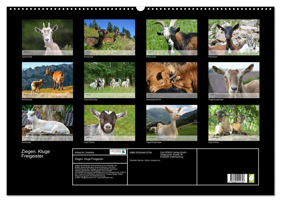 Ziegen. Kluge Freigeister (CALVENDO Wandkalender 2027)