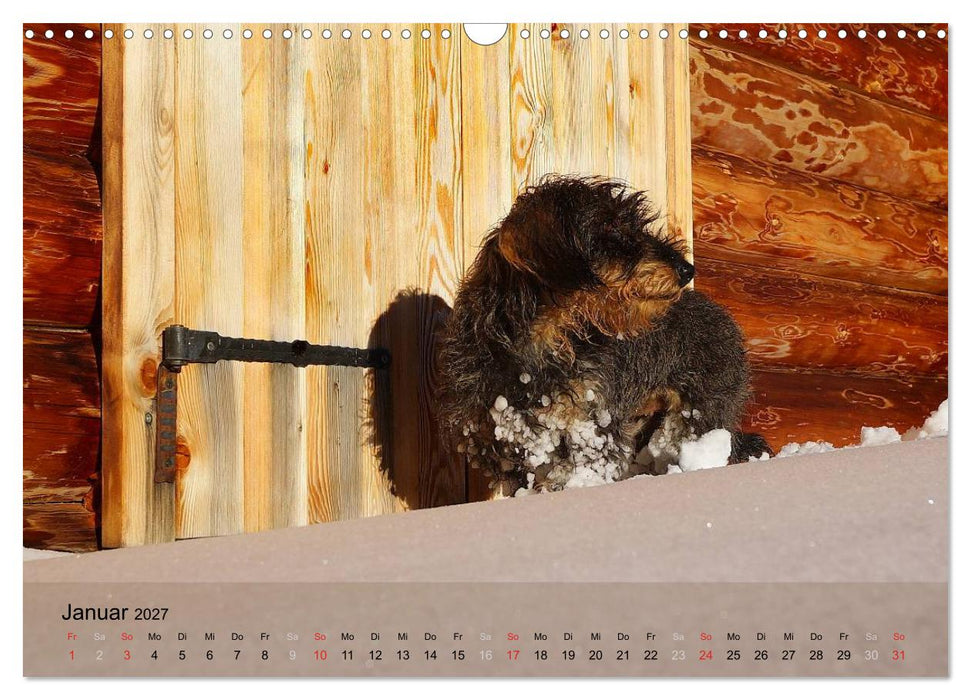 Liebenswerte Clowns (CALVENDO Wandkalender 2027)