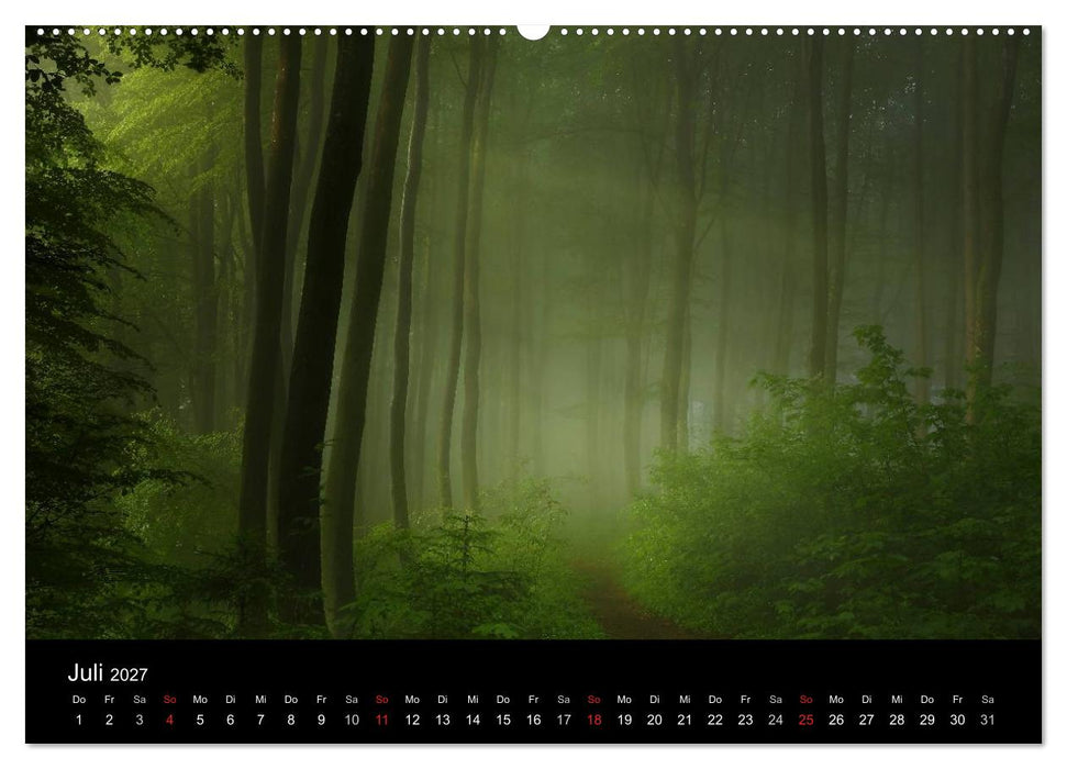 Mysterium Wald (CALVENDO Premium Wandkalender 2027)