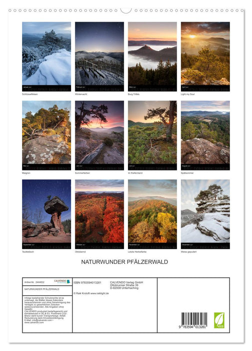 NATURWUNDER PFÄLZERWALD (CALVENDO Premium Wandkalender 2027)