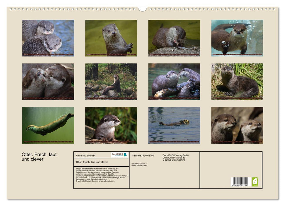 Otter. Frech, laut und clever (CALVENDO Wandkalender 2027)