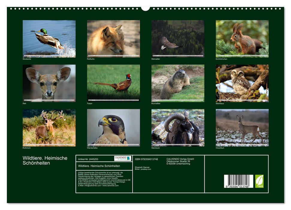 Wildtiere. Heimische Schönheiten (CALVENDO Premium Wandkalender 2027)