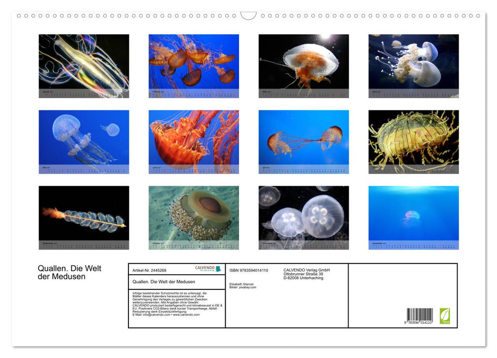 Quallen. Die Welt der Medusen (CALVENDO Wandkalender 2027)