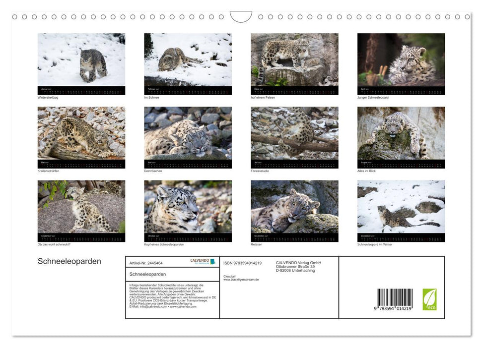 Schneeleoparden (CALVENDO Wandkalender 2027)