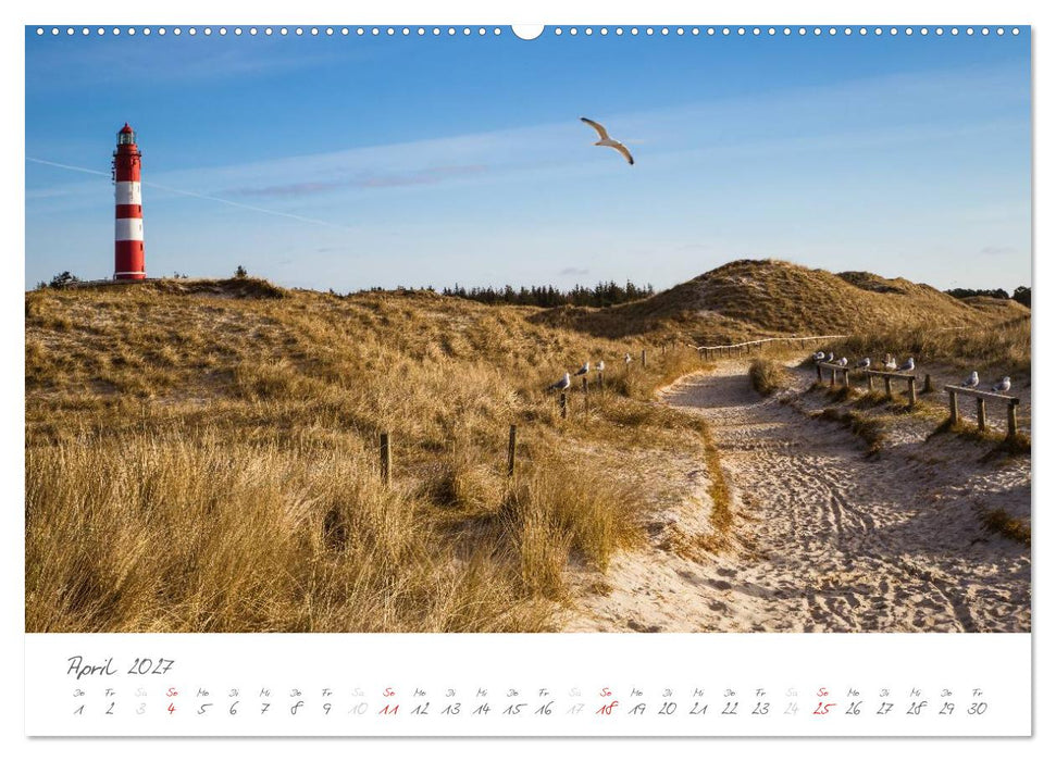 Amrum - Eine farbenfrohe Insellandschaft (CALVENDO Premium Wandkalender 2027)
