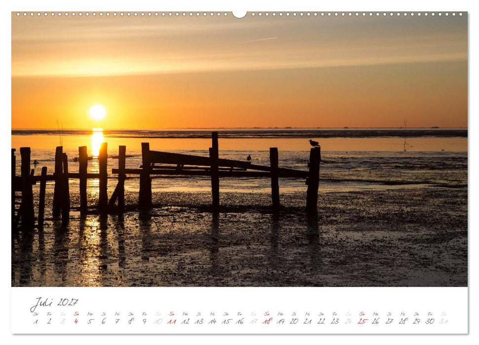 Amrum - Eine farbenfrohe Insellandschaft (CALVENDO Premium Wandkalender 2027)