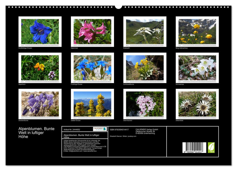 Alpenblumen. Bunte Welt in luftiger Höhe (CALVENDO Premium Wandkalender 2027)