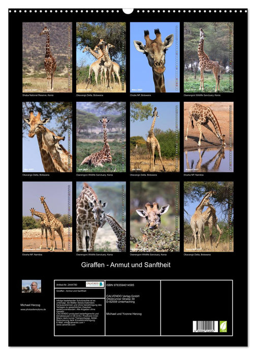 Giraffen - Anmut und Sanftheit (CALVENDO Wandkalender 2027)