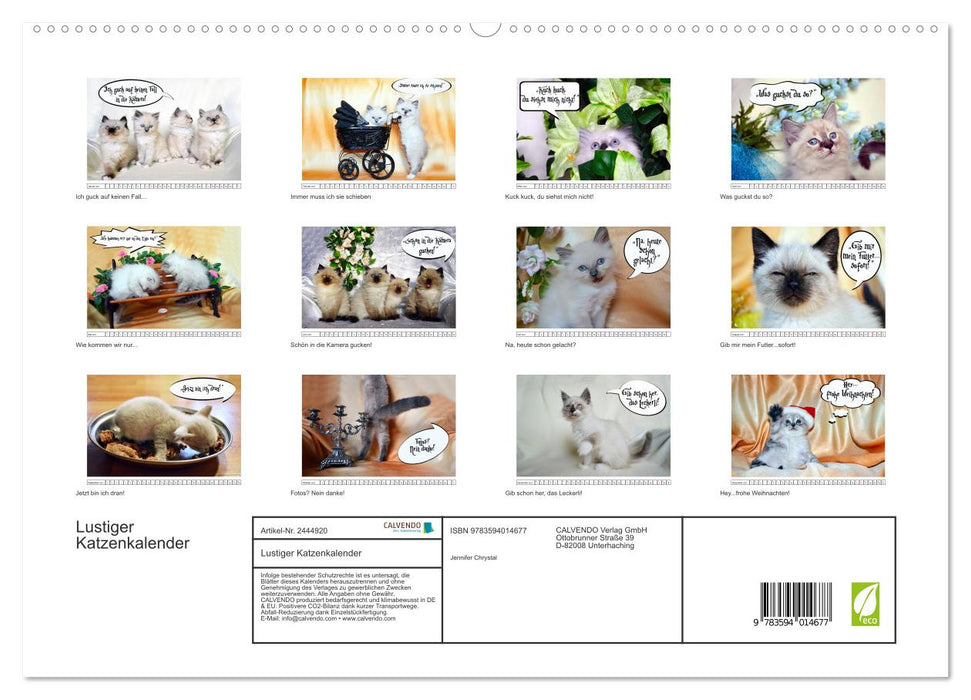 Lustiger Katzenkalender (CALVENDO Premium Wandkalender 2027)